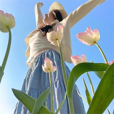 甜木兰第三季免费在线观看
